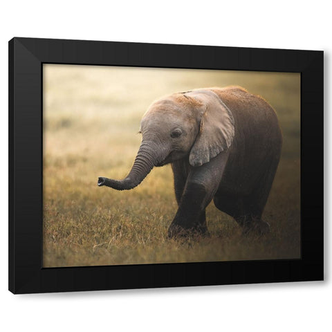 Falafelo Black Modern Wood Framed Art Print with Double Matting by Sobhi, Ahmed