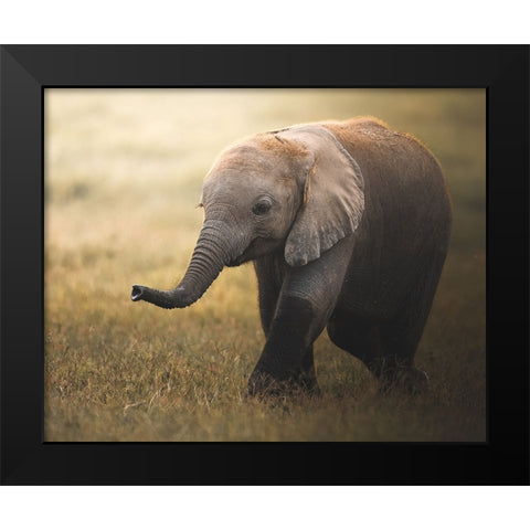 Falafelo Black Modern Wood Framed Art Print by Sobhi, Ahmed