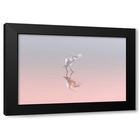Little Egret Black Modern Wood Framed Art Print by Rublina, Natalia