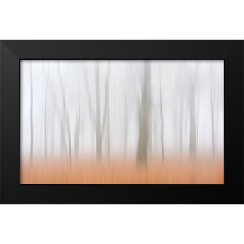 Misty Autumnimpression Black Modern Wood Framed Art Print by Limberg, Huib