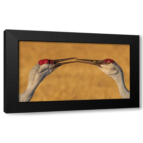 The Kiss Black Modern Wood Framed Art Print by Xiao, Hanping