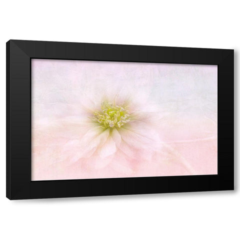 Over The Rainbow Black Modern Wood Framed Art Print by Parker, Jacky