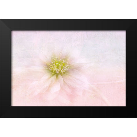 Over The Rainbow Black Modern Wood Framed Art Print by Parker, Jacky