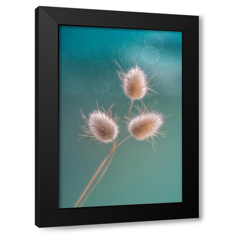 Ribbit Tails Black Modern Wood Framed Art Print with Double Matting by Jacobs, Lydia