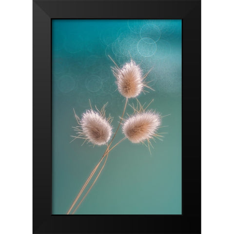 Ribbit Tails Black Modern Wood Framed Art Print by Jacobs, Lydia