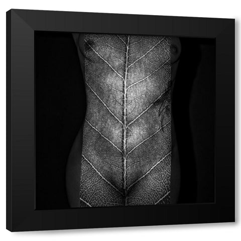 Leaf Of Life Black Modern Wood Framed Art Print with Double Matting by Grimm, Markus