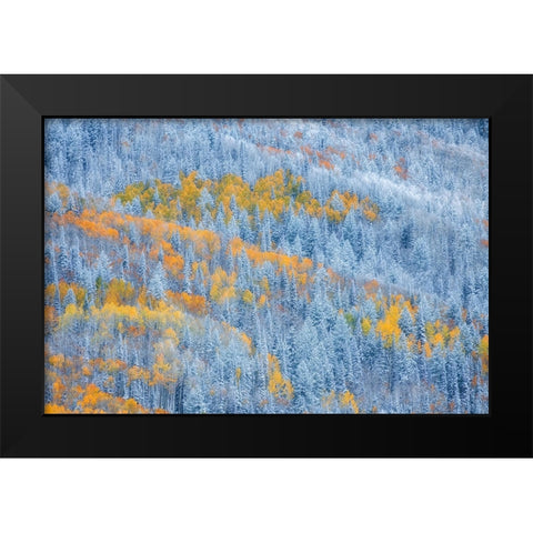 Transition of Seasons Black Modern Wood Framed Art Print by Xu, Mei