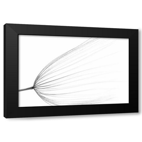 The Big Minimal Black Modern Wood Framed Art Print by Terravecchia, Rino