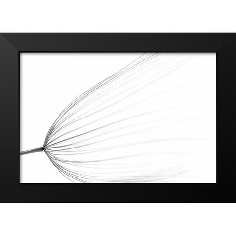 The Big Minimal Black Modern Wood Framed Art Print by Terravecchia, Rino