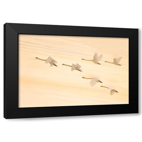 Group Dancing Black Modern Wood Framed Art Print with Double Matting by Qin, Feng