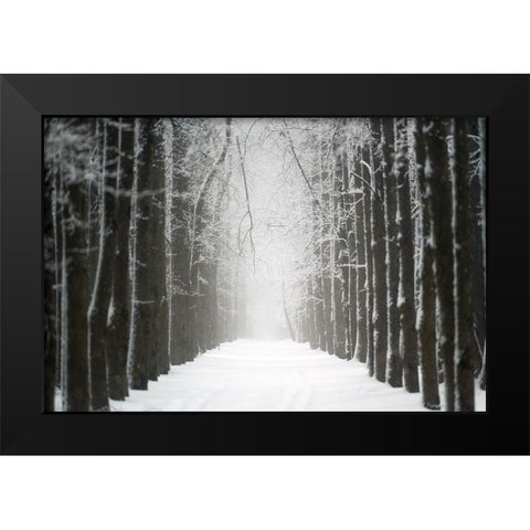Alley Black Modern Wood Framed Art Print by Doronin, Dmitry