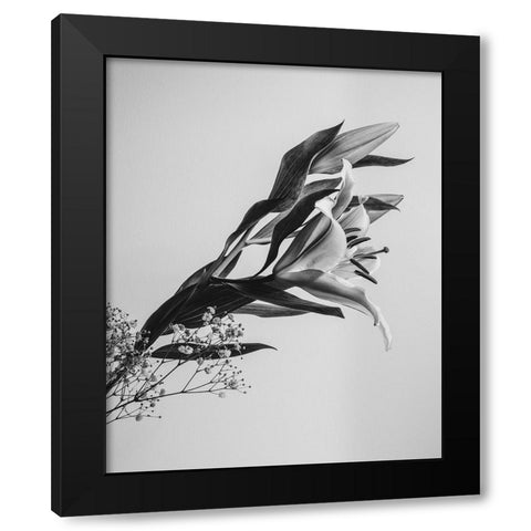 A Beautiful Flower Black Modern Wood Framed Art Print with Double Matting by Jo, Rahel