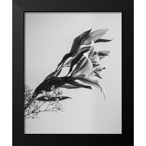 A Beautiful Flower Black Modern Wood Framed Art Print by Jo, Rahel