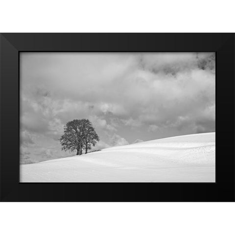 A cloudy winter day Black Modern Wood Framed Art Print by Peter Rank, Hans