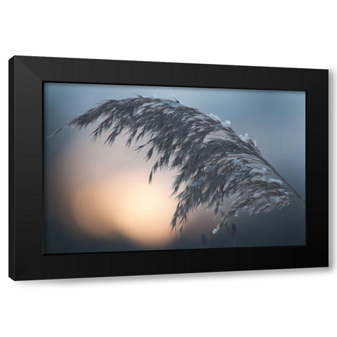 Easy Black Modern Wood Framed Art Print with Double Matting by Cekuolis, Vaidas