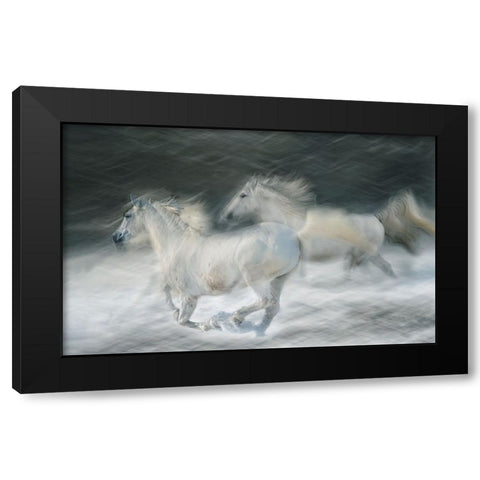 Gallop In A Duel Black Modern Wood Framed Art Print with Double Matting by Malovrh, Milan