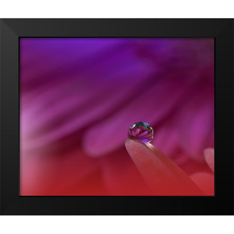 Prism Of Life.. Black Modern Wood Framed Art Print by Nan, Juliana