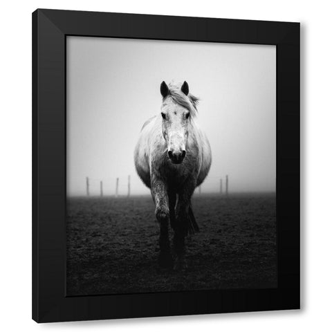 Confidence Black Modern Wood Framed Art Print by Staelens, Christophe
