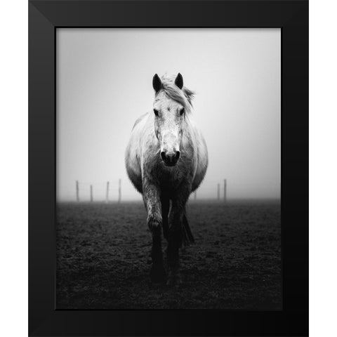 Confidence Black Modern Wood Framed Art Print by Staelens, Christophe