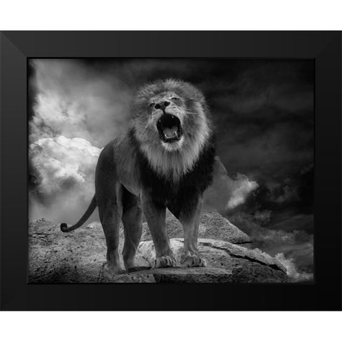 Lions Roar Black Modern Wood Framed Art Print by Wisniowska, Krystina