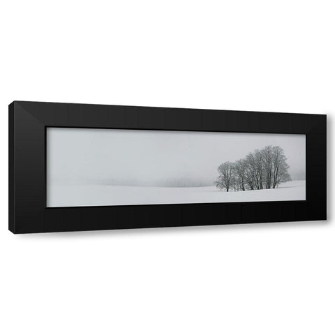 Albhochflaeche Black Modern Wood Framed Art Print with Double Matting by Schumacher, Nicolas