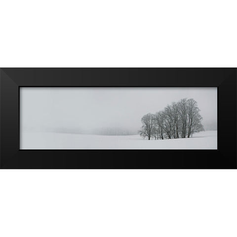 Albhochflaeche Black Modern Wood Framed Art Print by Schumacher, Nicolas