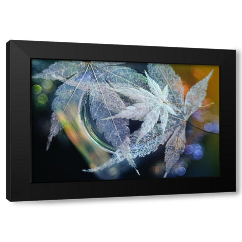 Trio Black Modern Wood Framed Art Print by Kowatari, Shihya