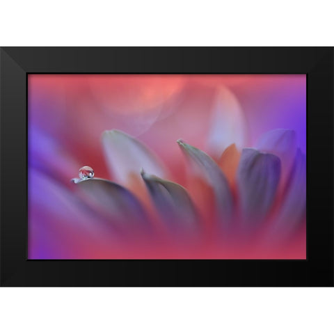 Blossoming Heart.. Black Modern Wood Framed Art Print by Nan, Juliana