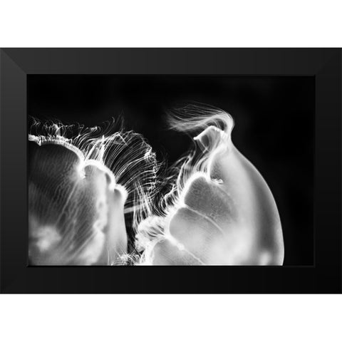 Untitled Black Modern Wood Framed Art Print by Berry, Jerry