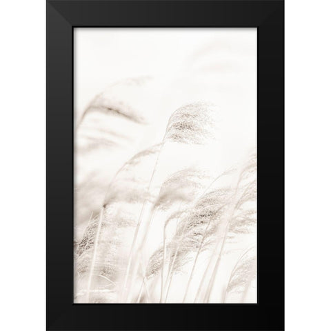 REED Black Modern Wood Framed Art Print by 1x Studio III