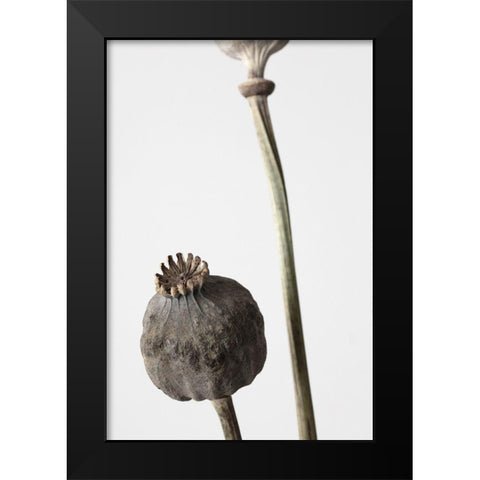 Dried_005 Black Modern Wood Framed Art Print by 1x Studio III