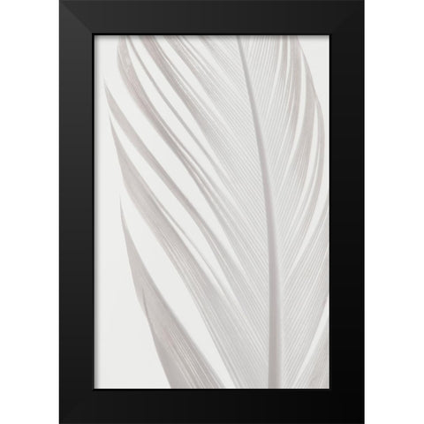 Feather_006 Black Modern Wood Framed Art Print by 1x Studio III