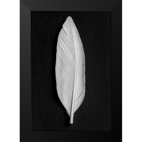 Feather_008 Black Modern Wood Framed Art Print by 1x Studio III