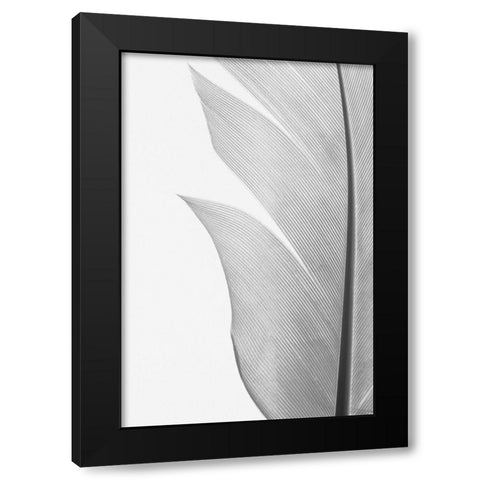 Feather_004 Black Modern Wood Framed Art Print with Double Matting by 1x Studio III