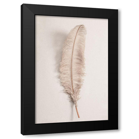 Feather_002 Black Modern Wood Framed Art Print with Double Matting by 1x Studio III