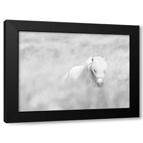 White Horse Black Modern Wood Framed Art Print by Paritskiy, Oles