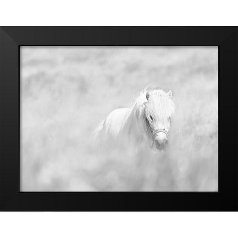 White Horse Black Modern Wood Framed Art Print by Paritskiy, Oles