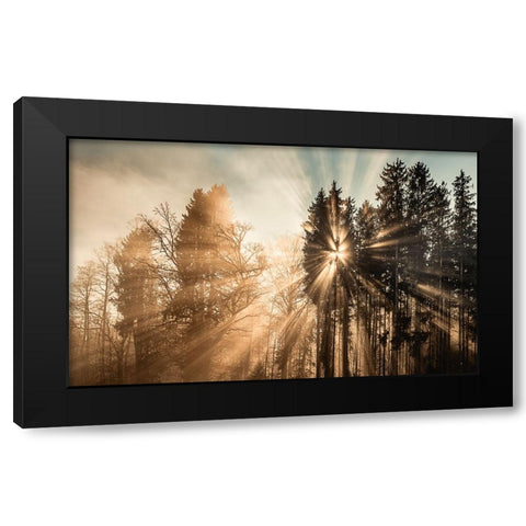 Fading away Black Modern Wood Framed Art Print by Eisenmann, Ulrike