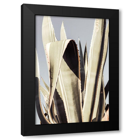 Agave_001 Black Modern Wood Framed Art Print with Double Matting by 1x Studio III