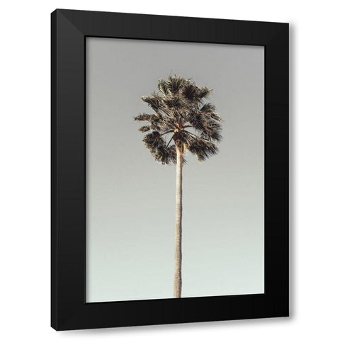 Palm_001 Black Modern Wood Framed Art Print by 1x Studio III