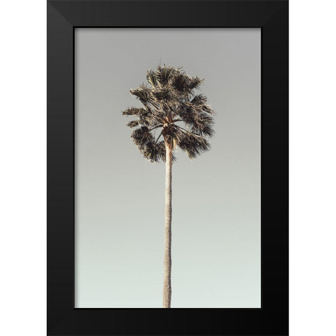 Palm_001 Black Modern Wood Framed Art Print by 1x Studio III