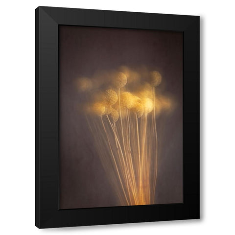 Curious Heads Black Modern Wood Framed Art Print by Kiral, Cicek