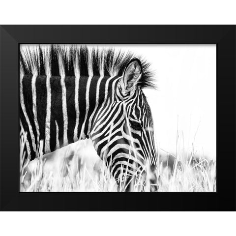 Fashionable Black And White Black Modern Wood Framed Art Print by Dinca, Silvia