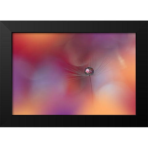 Echoes Of Hope.. Black Modern Wood Framed Art Print by Nan, Juliana