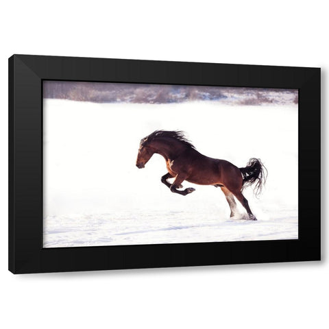 735W 2 Black Modern Wood Framed Art Print with Double Matting by Bogdan R, Mihai