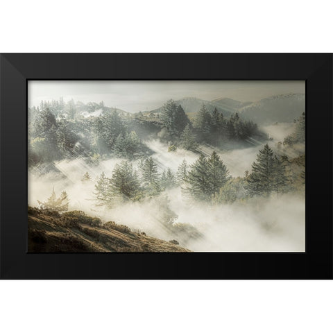 Silver White Winter that Melts into Spring Black Modern Wood Framed Art Print by Z. Chan, Jamie