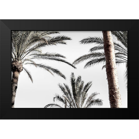 Palm_007 Black Modern Wood Framed Art Print by 1x Studio III
