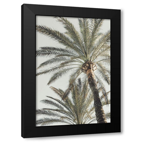 Palm_005 Black Modern Wood Framed Art Print by 1x Studio III