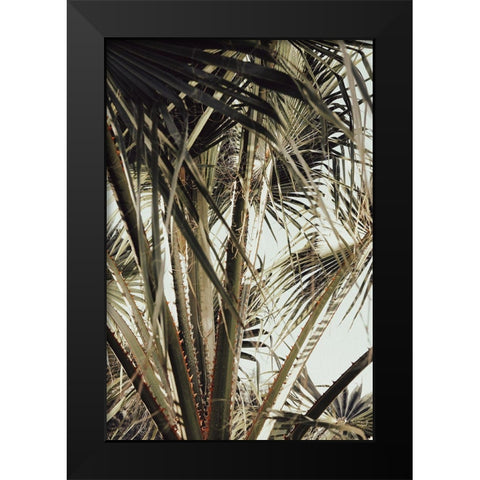 Palmblad_006 Black Modern Wood Framed Art Print by 1x Studio III