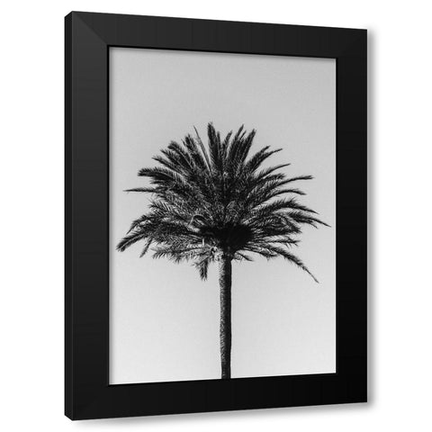 Palm_003 Black Modern Wood Framed Art Print with Double Matting by 1x Studio III